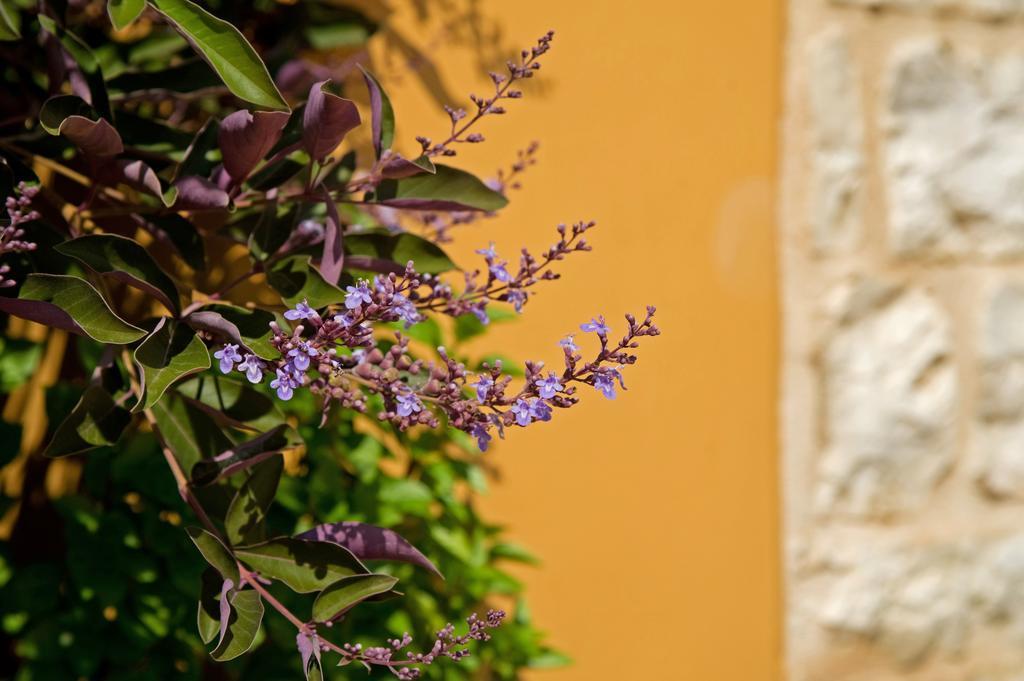 Enastron Villas Kyparissia Dış mekan fotoğraf