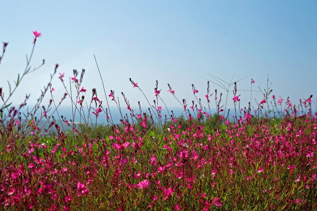 Enastron Villas Kyparissia Dış mekan fotoğraf